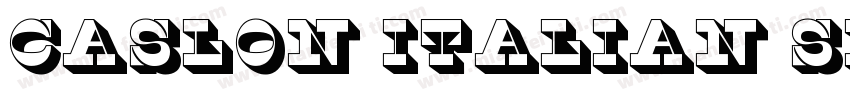 Caslon Italian Shaded Regular字体转换